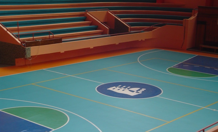 Sport vinyl flooring - Basketball flooring - Sportex