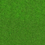 Cheap carpet for events - Expo 9631 spring green