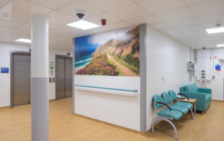 Continuous vinyl flooring in rolls without glue - Anhydrous