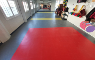 Modulfix x5 classic pvc tile for schools