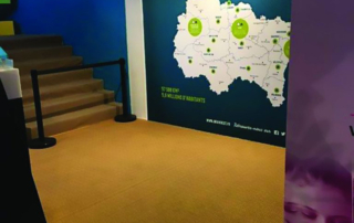 Cheap printed sisal type carpet for Studio booths