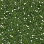 Studio Margarita carpet for trade show with floral lawn print