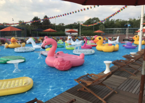 Water fair carpeting for swimming pool Studio principal