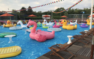 Water fair carpeting for swimming pool Studio principal