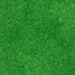 Studio Cesped® printed grass carpet for events