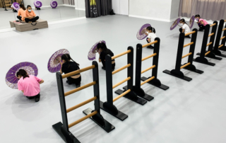 Grey dance floor Sportex 8