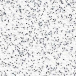 Anti-slip vinyl flooring white laboratory Safe S Top uni SA 4337