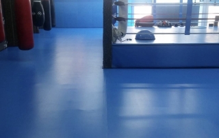 Tatami for boxing, MMA, jiu-jitsu blue color