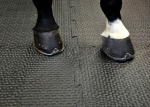 Tiles for horse stables